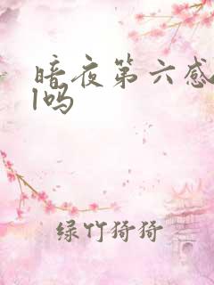 暗夜第六感是bl吗