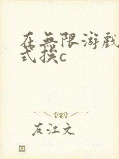 在无限游戏里花式挨c