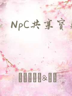 NpC共享宝贝