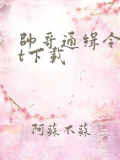 帅哥通缉令txt下载