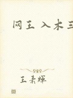 网王 入木三分