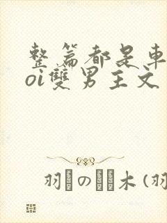 整篇都是车的doi双男主文