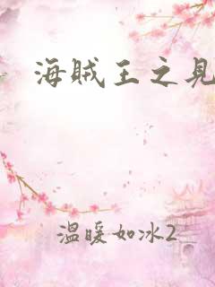 海贼王之见证者