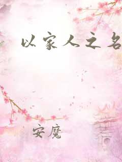 以家人之名原著
