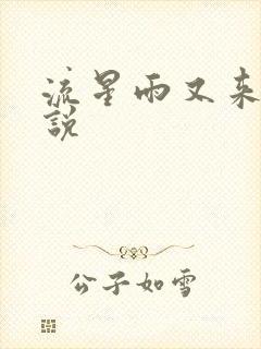 流星雨又来临小说