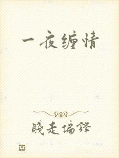 一夜缠情