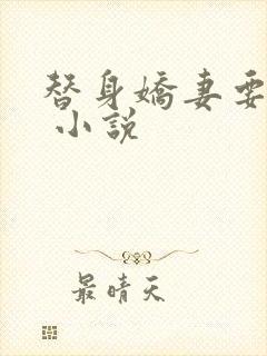 替身娇妻要离婚 小说