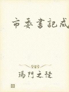 市委书记成长记