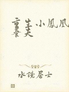 重生小凤凰的童养夫