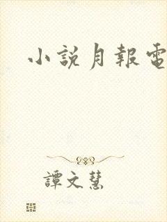 小说月报电子版