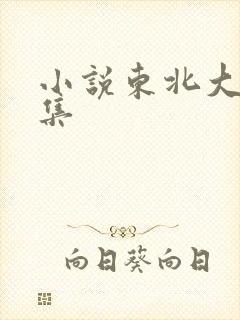 小说东北大炕全集