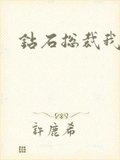 钻石总裁我已婚