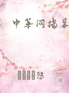 中华网揭幕内参