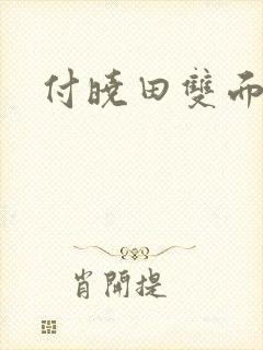 付晓田双面间谍