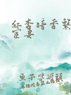 红杏暗香系列之宦妻