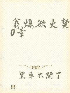 翁熄欲火焚身50章