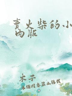 卖火柴的小男孩 肉版