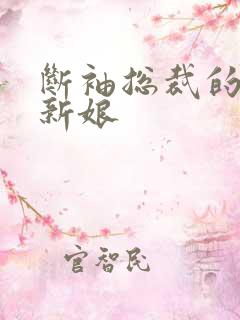 断袖总裁的落跑新娘