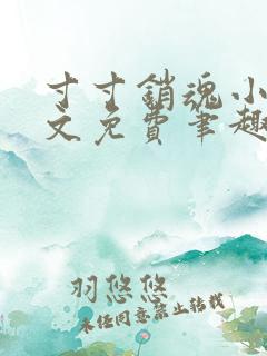 寸寸销魂小说全文免费笔趣阁