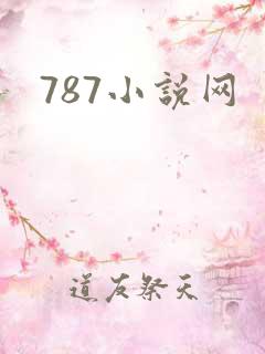 787小说网