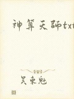 神算天师txt
