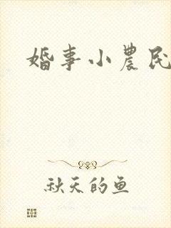婚事小农民