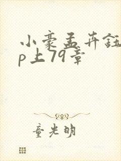 小豪孟卉钰慧三p上79章