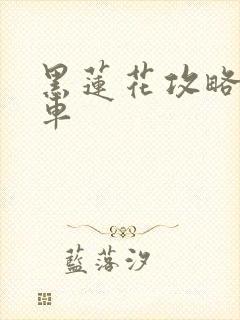 黑莲花攻略手册车