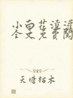 小白花浇灌日常全文免费阅读