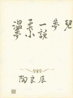 温柔一梦儿媳林梦小说