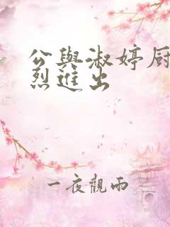 公与淑婷厨房猛烈进出