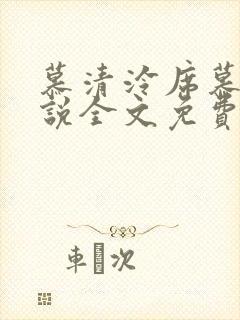 慕清泠席慕深小说全文免费阅读