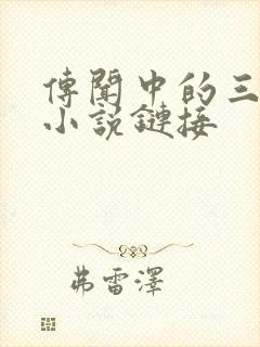 传闻中的三公主小说链接