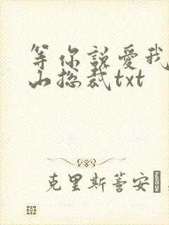 等你说爱我之冰山总裁txt