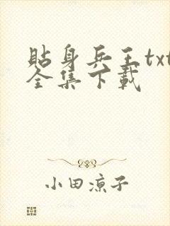 贴身兵王txt全集下载