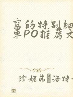 写的特别细的开车PO推荐文