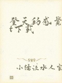 登天的感觉txt下载