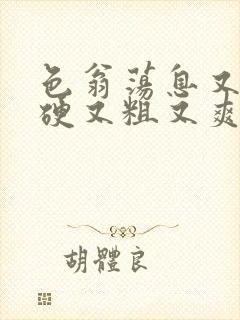 色翁荡息又大又硬又粗又爽电影