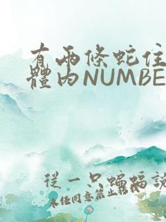有两条蛇住在我体内NUMBER7