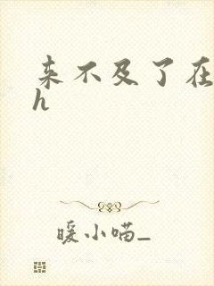 来不及了在车ch