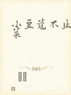 小豆蔻不止是颗菜