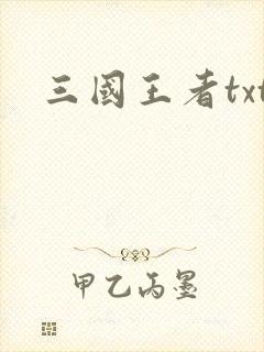 三国王者txt