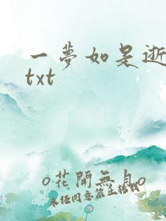 一梦如是逝水长txt