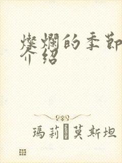 灿烂的季节剧情介绍