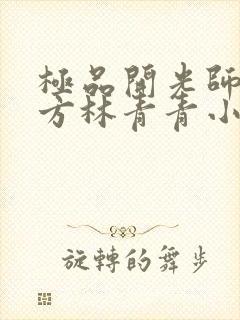 极品开光师李南方林青青小说叫