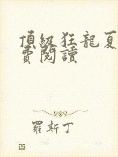 顶级狂龙夏天免费阅读
