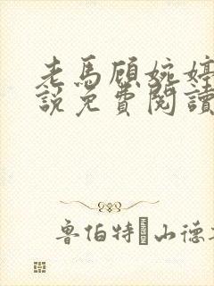 老马顾婉婷的小说免费阅读