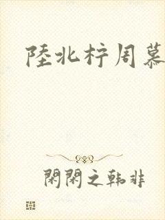 陆北柠周慕深