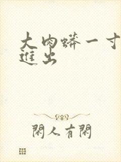 大肉蟒一寸一寸进出