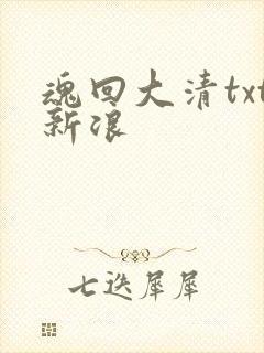 魂回大清txt新浪
